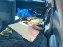 2016 Nissan Juke - CLEAR TITLE - NO KEYS - MILEAGE UNKNOWN