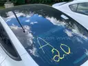 2020 Tesla Model 3 - CLEAR TITLE, NO KEY, MILES UNKNOWN