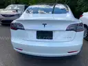 2020 Tesla Model 3 - CLEAR TITLE, NO KEY, MILES UNKNOWN