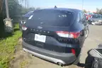 2021 Ford Escape-CLEAR TITLE, NO KEY, MILES UNKNOWN