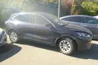 2021 Ford Escape-CLEAR TITLE, NO KEY, MILES UNKNOWN