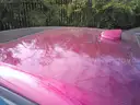 2018 Dodge Charger-CLEAR TITLE, NO KEY, MILES UNKNOWN