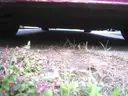 2018 Dodge Charger-CLEAR TITLE, NO KEY, MILES UNKNOWN