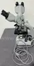 Carl Zeiss microscope
