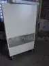 Lot of (1) Metal Computer Cabinet on Wheels.