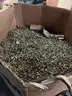 Lot of Spent 9MM and .223/556 Brass Ammo Casings.