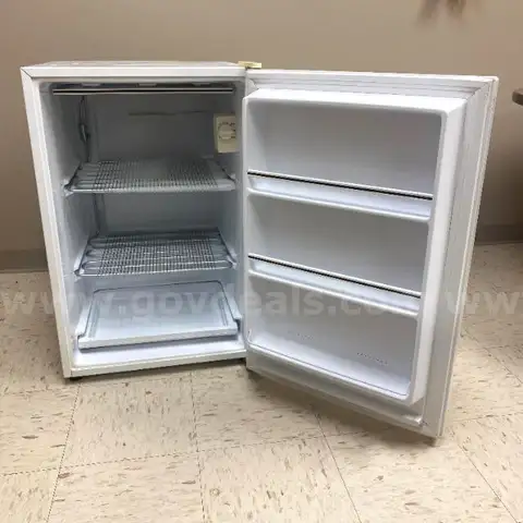 Lot of (1) General Electric Free Standing Freezer Model FP5DSARWH.