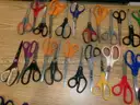 Lot of (63) Various Scissors.