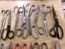 Lot of (55) Various Scissors.