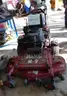 WALK-BEHIND MOWER(1)