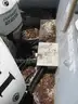25&#x27; SEA ARK BOAT