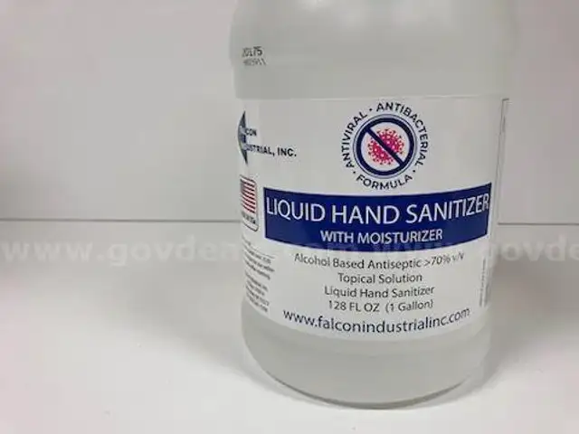 Hand Sanitizer (24 cases)