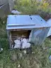 Groen/Vulcan Ovens