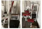 Cybex Arm Curl Machine