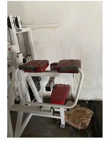 Cybex Arm Curl Machine