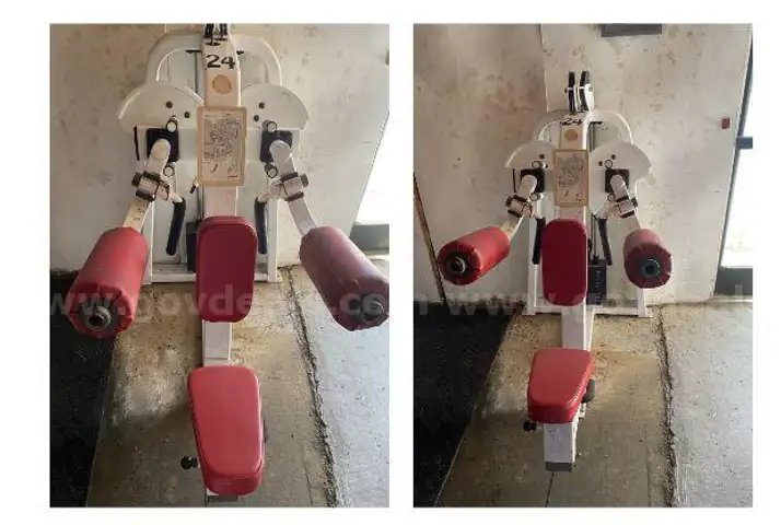 Icarian Lateral Raise Machine