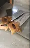 1 lot clamps, saws, table
