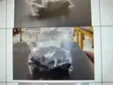 1 lot various science items (see attached PDF)