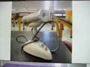 1 lot various science items (see attached PDF)