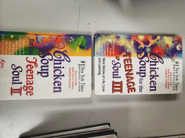 TV, US History textbooks, Chicken Soup for the Soul books