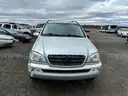 2002 Mercedes-Benz M-Class Abandoned Vehicle (NO KEYS)