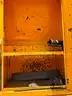 1993 Ford L8000 Sewer Vacuum Truck 7.8L L6 TURBO DIESEL (LOW MILES)