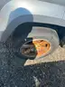 2006 Jeep Liberty Limited Abandoned Vehicle (NO KEYS)
