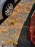 2012 Ford Fusion SEL Abanoned Vehicle (NO KEYS)
