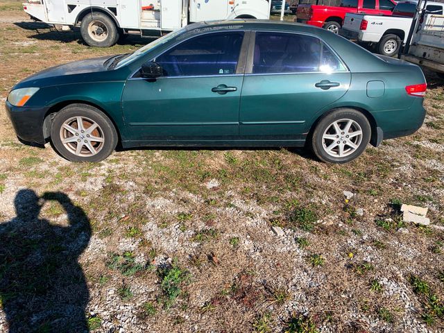 green 2003 honda accord