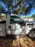 2016 Ford F-250 SD XL 2WD (CNG)