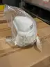 Honeywell N95 masks