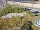 Used Skate Park Equipment
