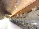 John Deere Tiller