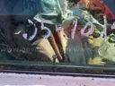 Lot of 12 Impounded Vehicles   #353  OPERATIONAL CONDITION UNKNOWN UNTESTED