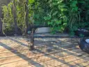 2013 6 X 14 Dual Axle Trailer with String Trimmer Rack and Gate/Ramp