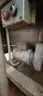 Commercial Dishwasher
