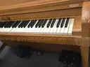 Piano works just needs to be tuned     67