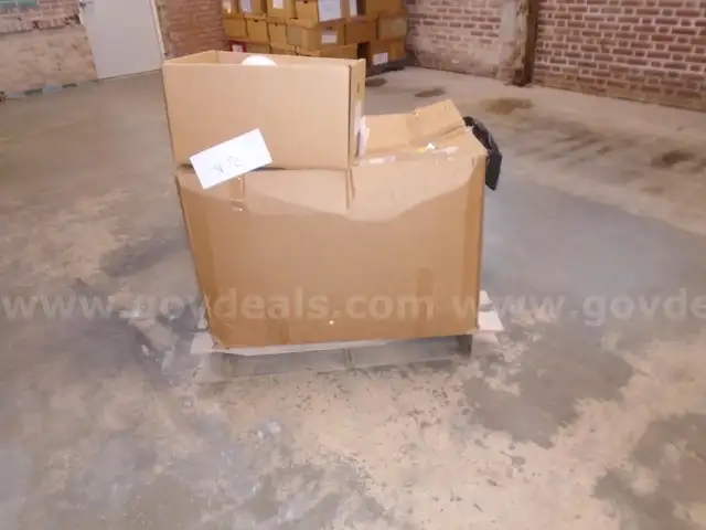 Science Styrofoam Craft Balls- Pallet #25