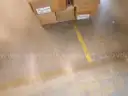 Science 21 Notebooks- Pallet #26