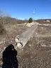Concrete Forms Lot