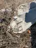 Concrete Forms Lot