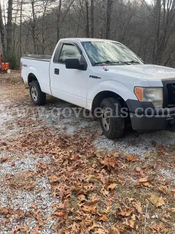 2009 Ford F-150