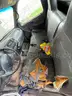 2001 Ford F-150
