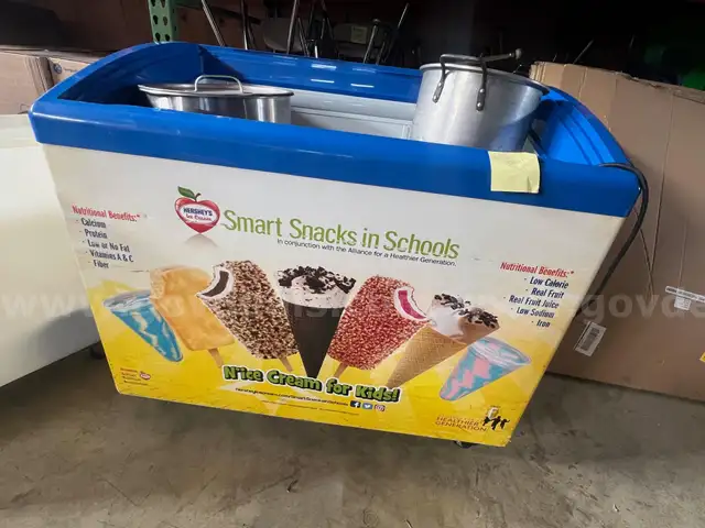 Ice Cream Freezer