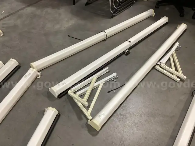 Projector Screen Luma