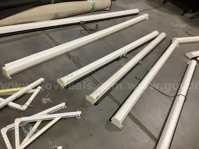 Projector Screen Luma