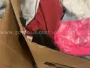 Apparel: &#x22;Clothes&#x22; (JUL25-0627)