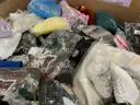 Apparel: Manually Sorted &#x22;Shoes, Handbags and Totes&#x22; (JUL25-681X)