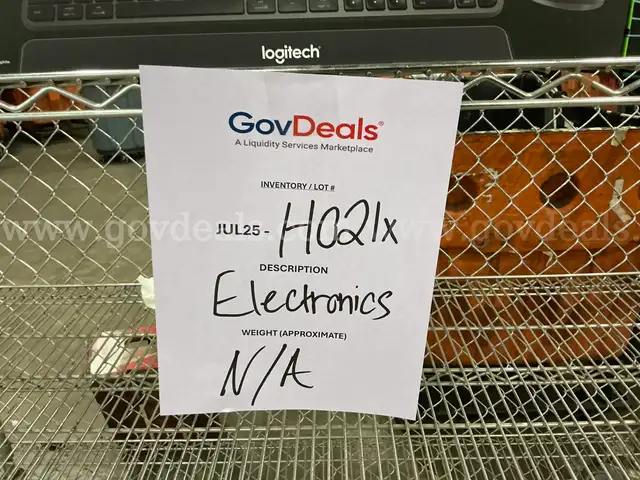 Electronics &#x22;Assorted&#x22; (JUL25-H021X)