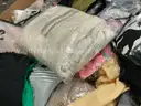 Apparel: &#x22;Clothes&#x22; (JUL25-0846)